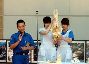 動物の歯の話