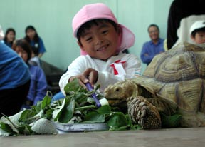 カメさんの歯をシュッシュッ