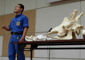 動物の歯の話 獣医師 熊岡悟史