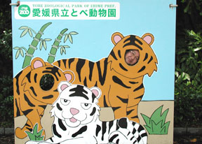 「歯みがきは いいんどゾウ」