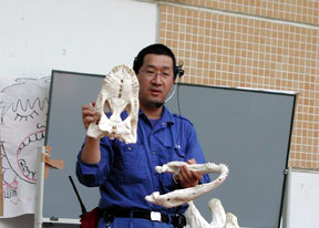 動物の歯の話 獣医師 毛利靖
