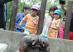 なぜかハグラー1