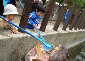 なぜかハグラー3