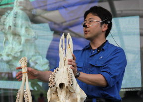 動物の歯の話 獣医師 滝沢浩司先生