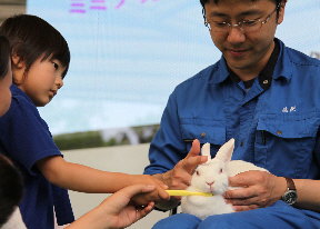 ウサギの歯磨き2