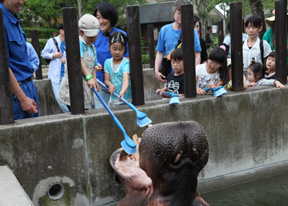 人間の歯のはなし