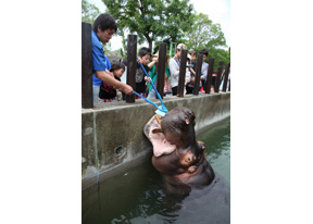 動物の歯の話　獣医師　滝沢浩司先生