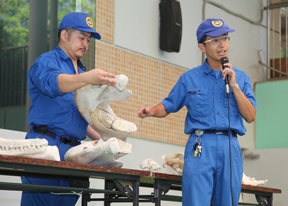 動物の歯の話