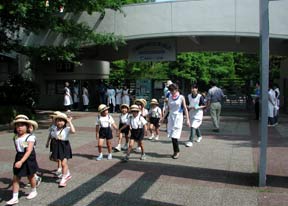 人間の歯の話